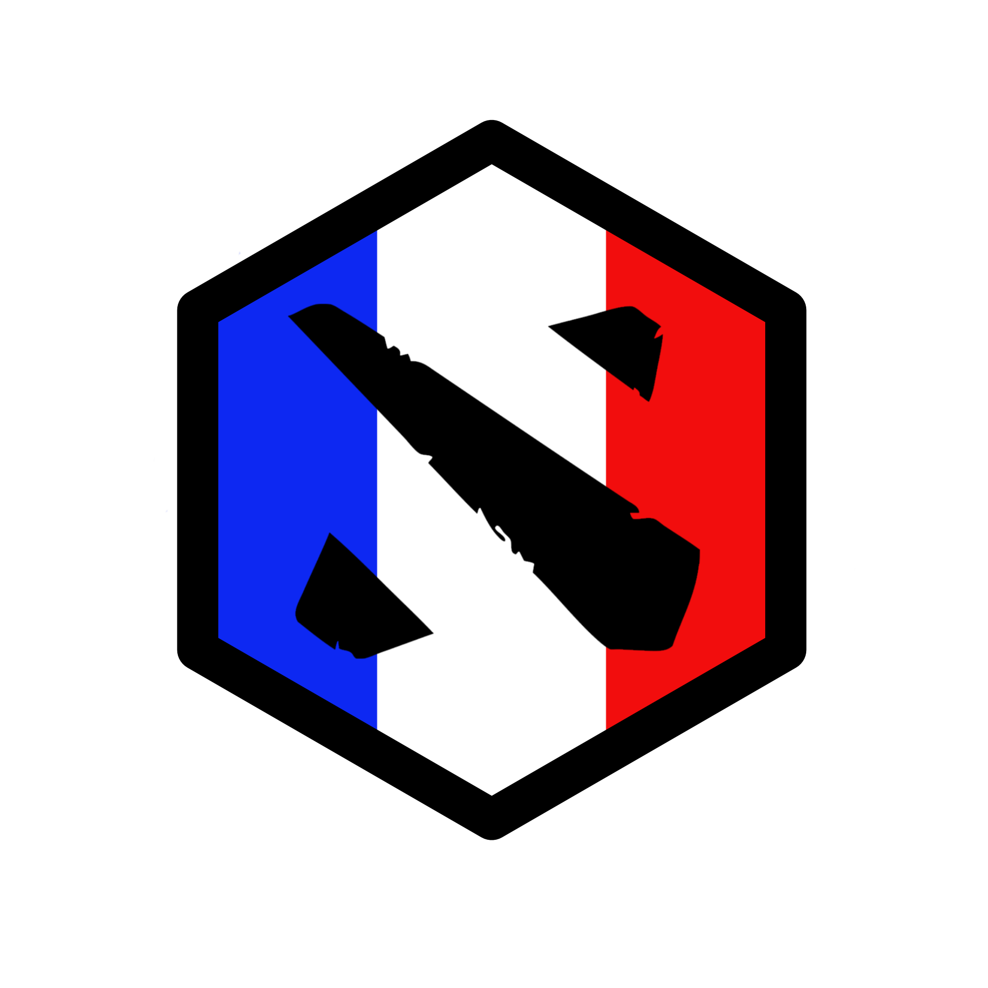 Dota 2 France
